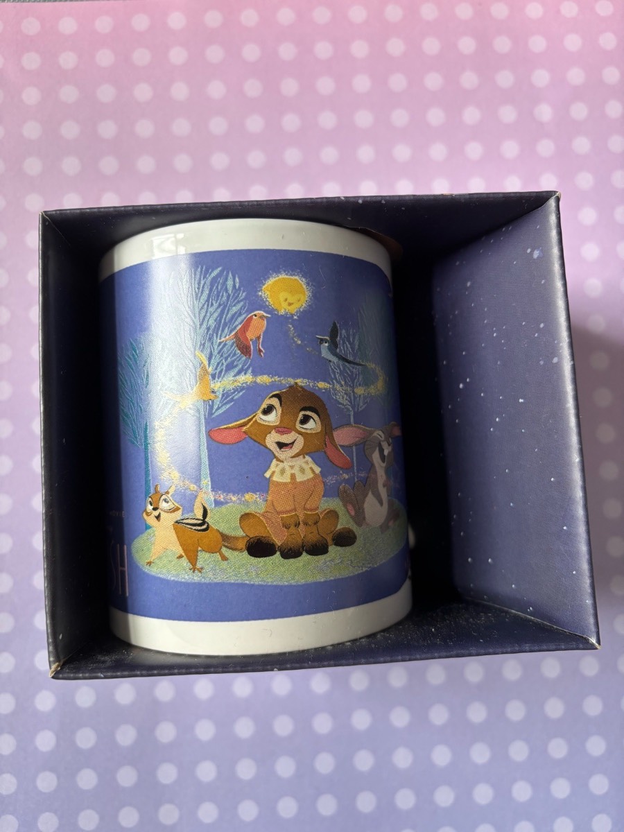 Disney Wish themed everyday mug