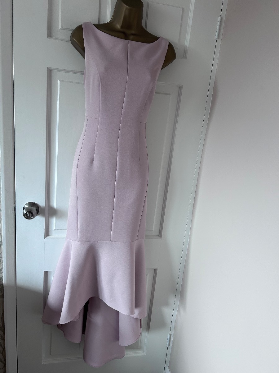 Phase Eight Elegant Pastel Pink Special Occasion Dress Size 10 - New!