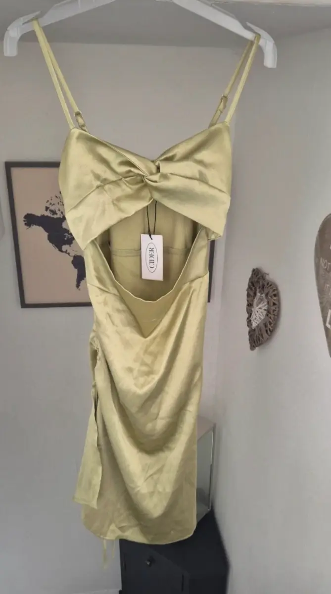 Cider Party Dress NEW 8uk