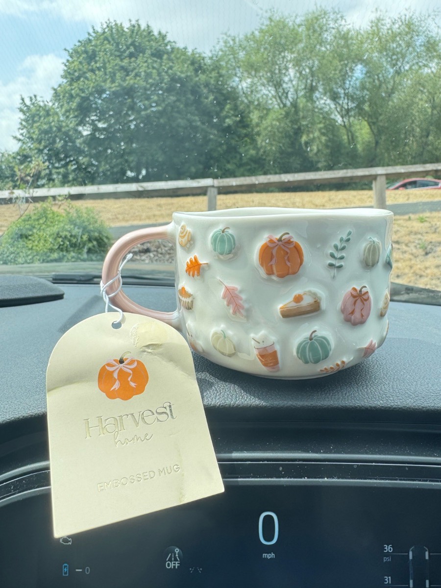 B&M Harvest Home Autumnal Pumpkin Embossed Mug