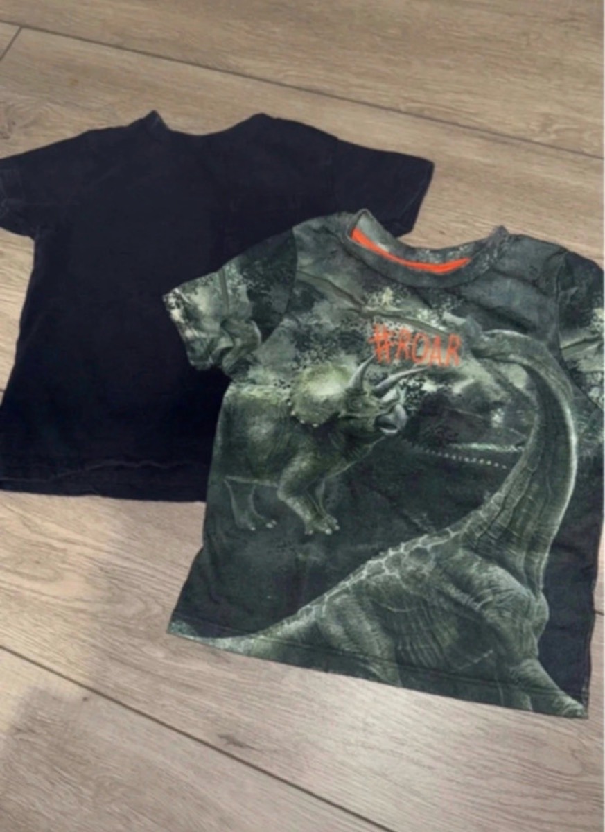 Next & M&Co Boys Dinosaur and Navy Blue T Shirts 2 Pack Bundle 12-18M