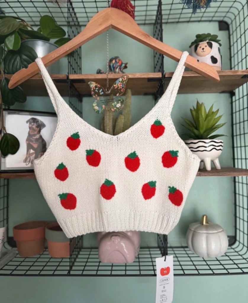 Cider Strawberry 🍓 cropped Top NEW