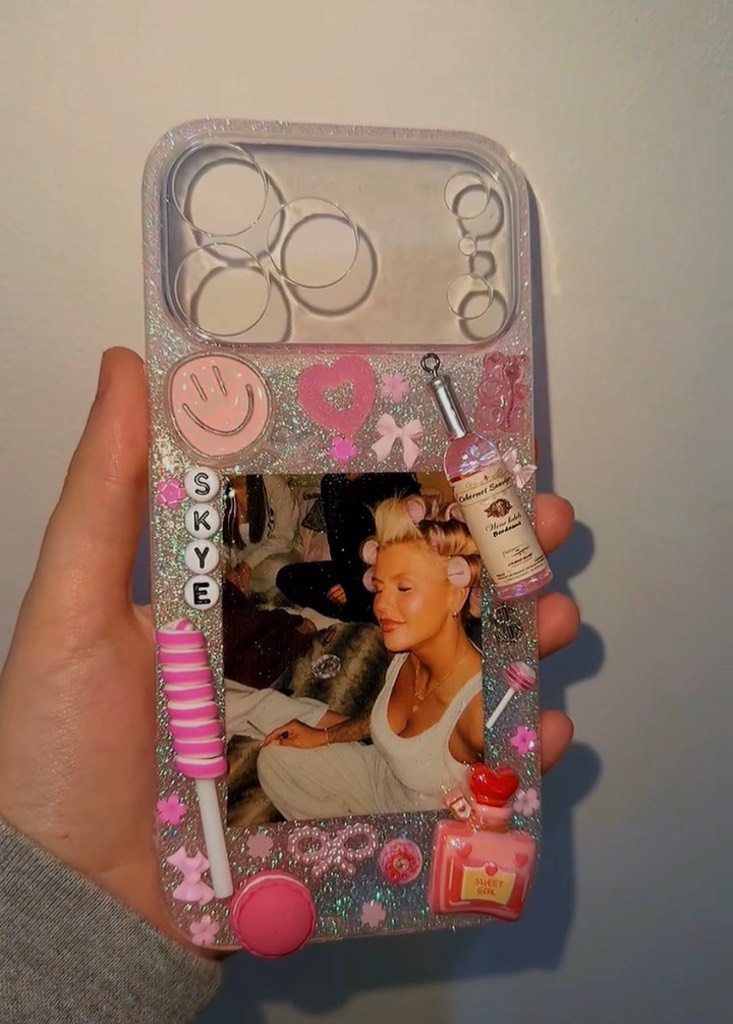 iphone 17 pro max case