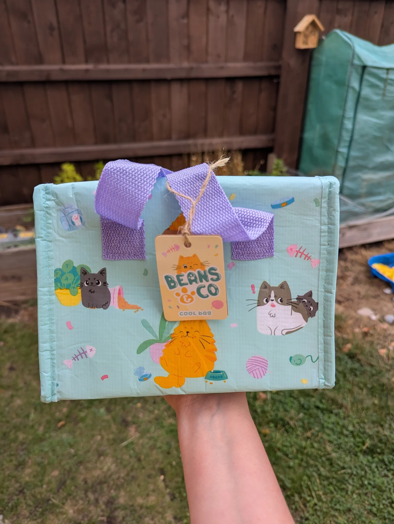 Insulated Lunch Bag