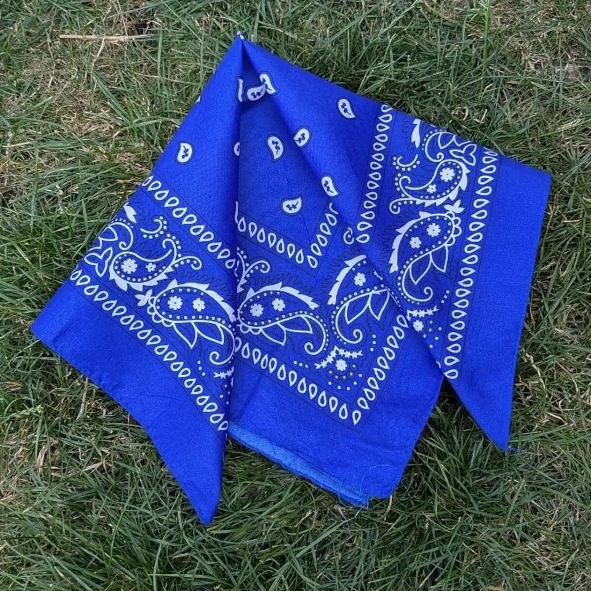 Blue Paisley Print Bandana XL