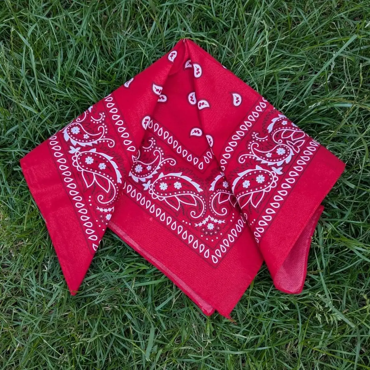 Red Paisley Print Bandana XL Size