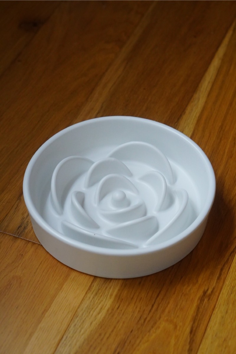Large Matte White Ceramic Slow Feed Dog Bowl – Flower Shape Design