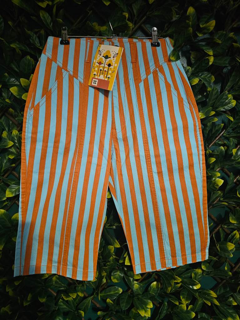 lucy and yak striped shorts