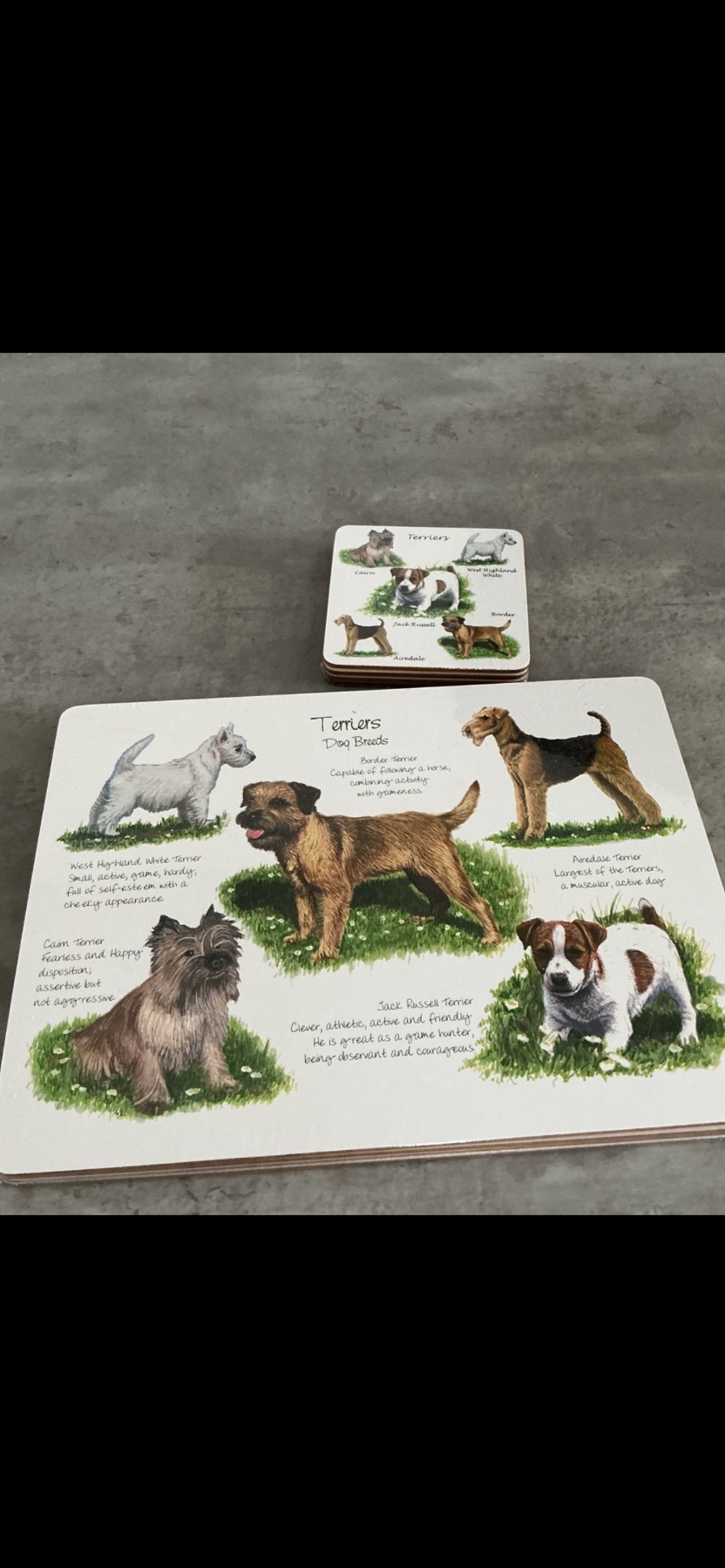 Terrier dogs coaster and placemats