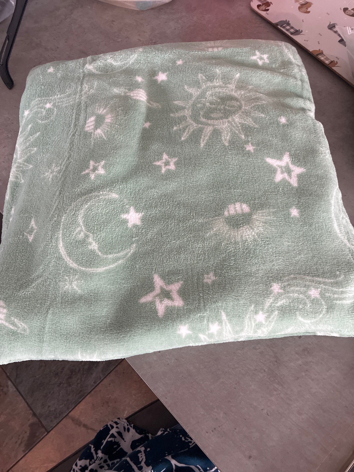Pet cushionCage mat