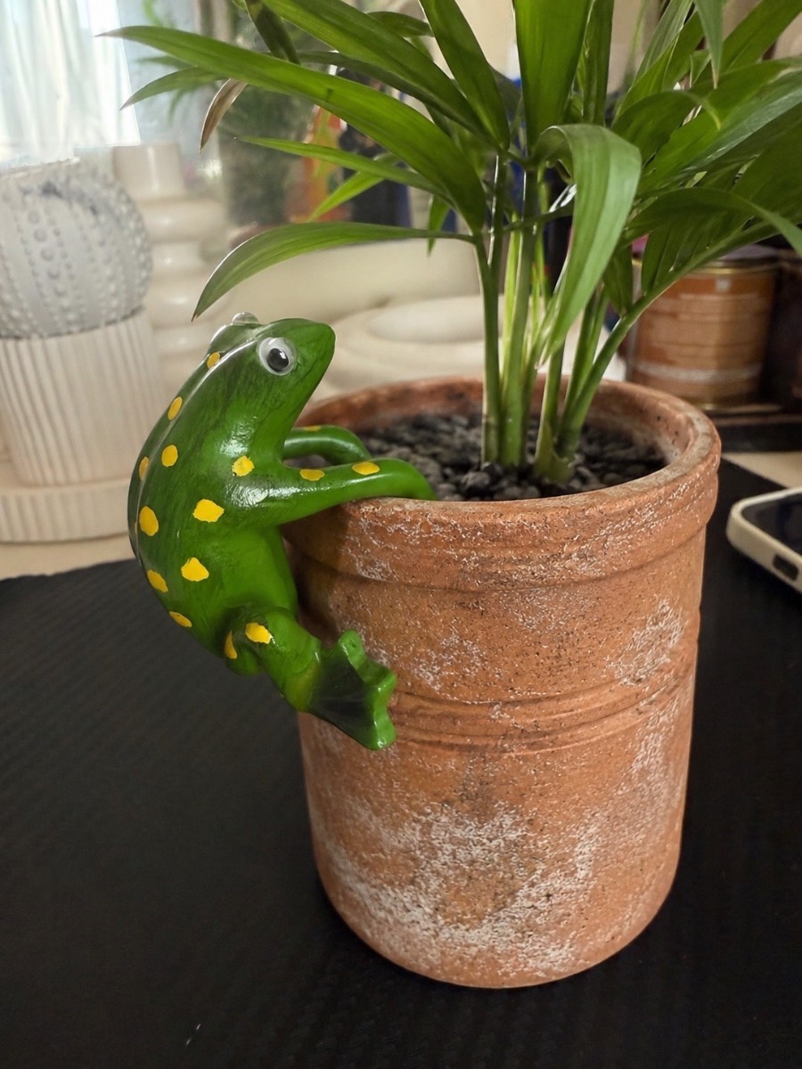 Frog plant hanger ornaments whimsical plant lover home decor housewarming gift