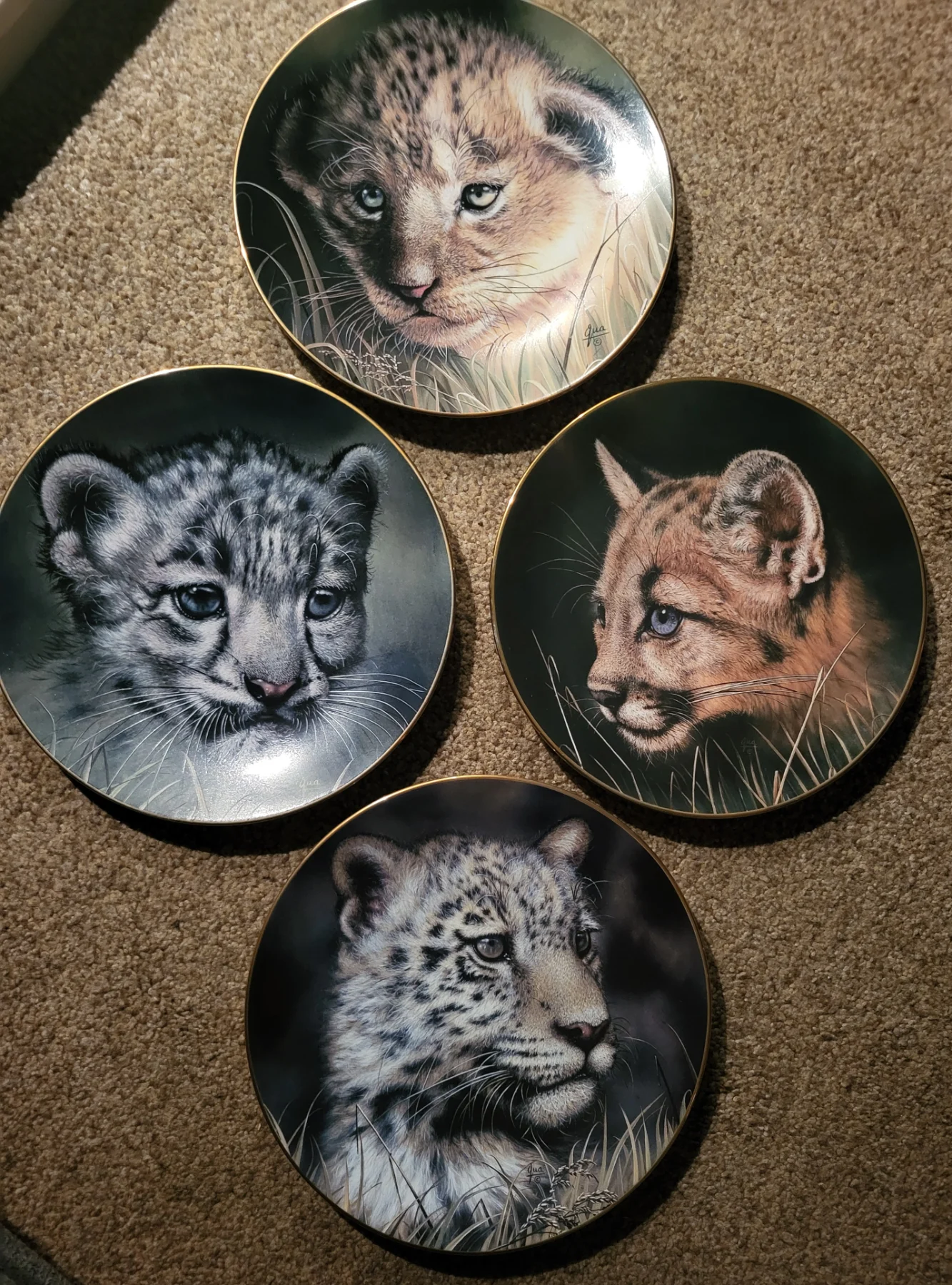 Princeton Gallery "Cubs of the Big Cats" Decorative Plates & Stands - Set of 4