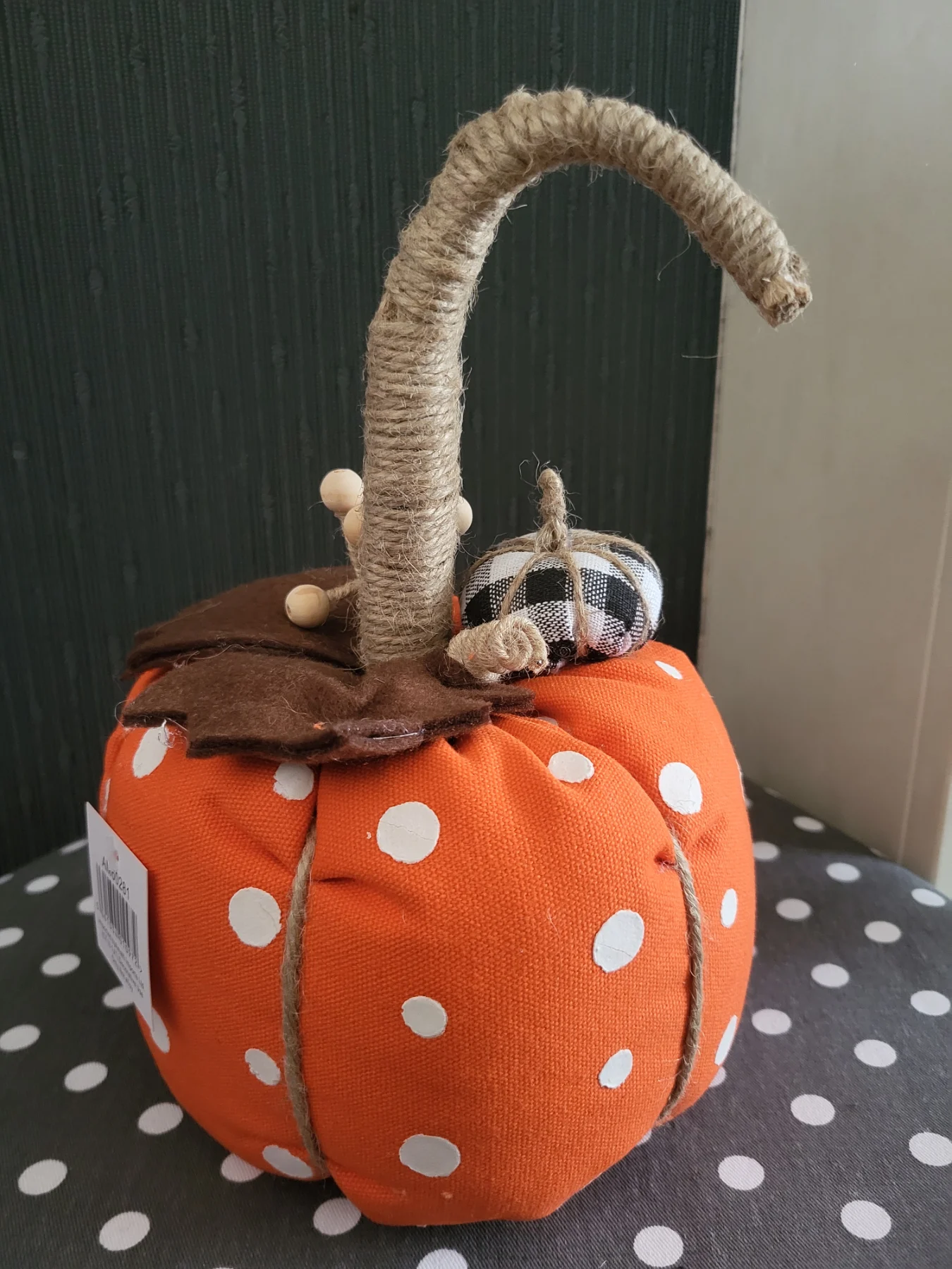 Orange Pumpkin 🎃 with detail