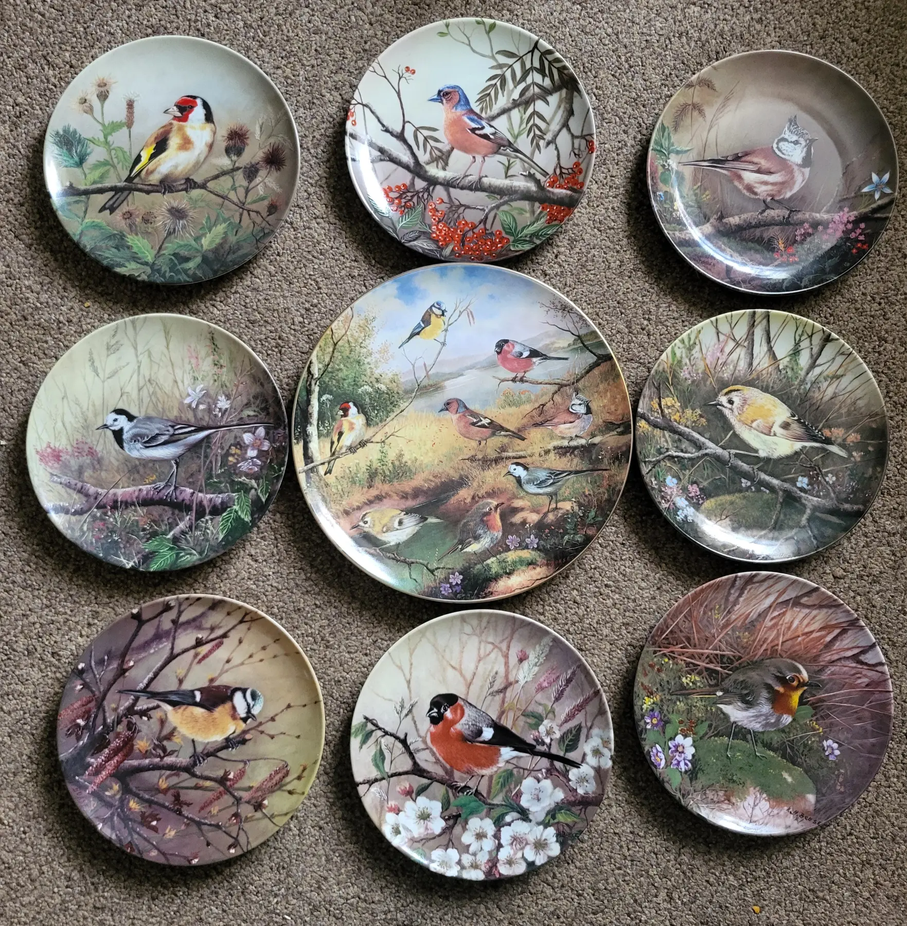 Complete Collection: 9 Vintage "Our Small Songbirds" Porcelaine d'Auteuil / Heinrich Porzellan Colle