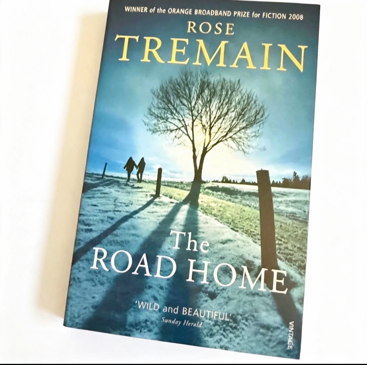 The Road Home by Rose Tremain | Award-Winning Literary Fiction