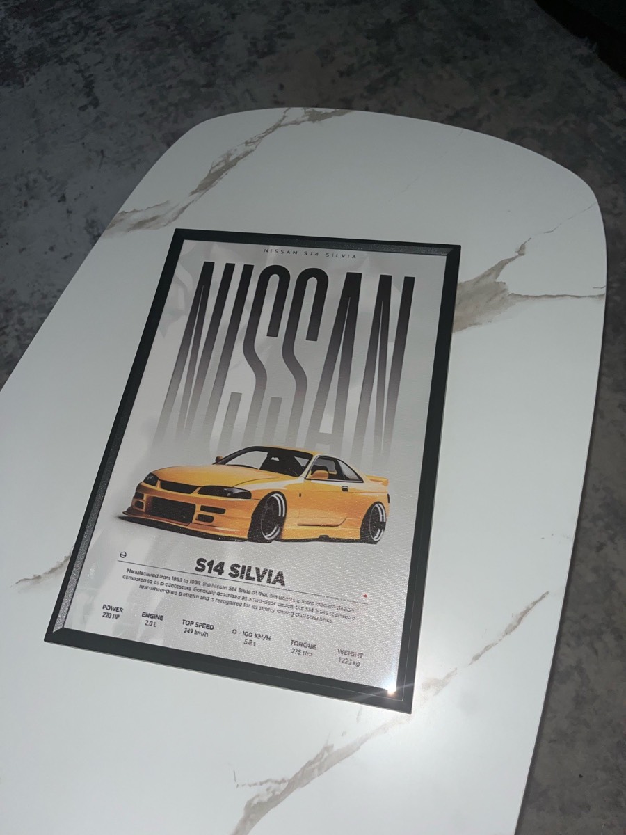 Silva S14 Framed Art
