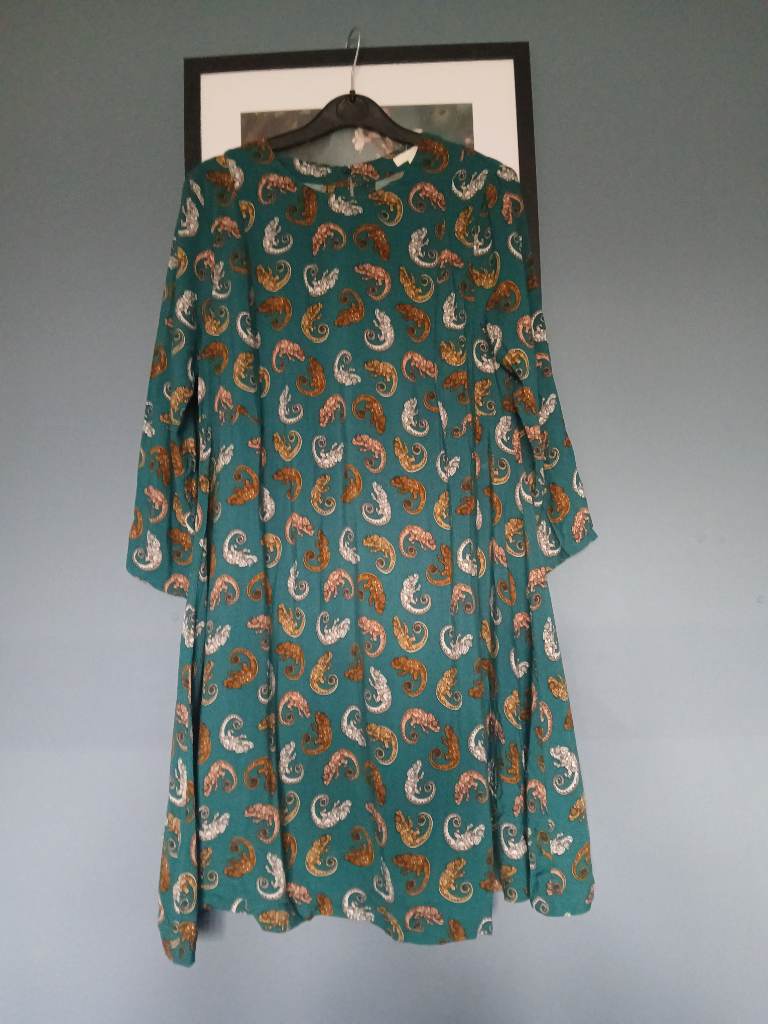 H &M chameleon dress