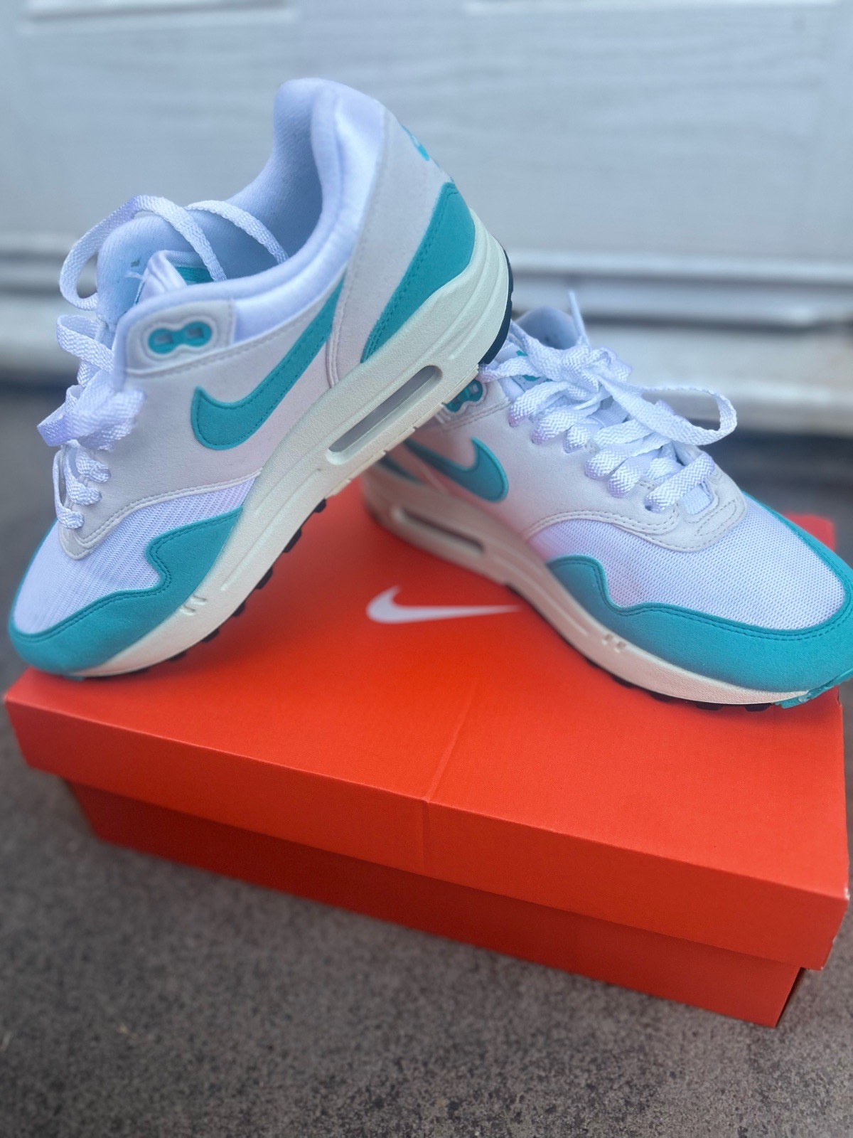 Women’s Nike air max dusty cactus size 5