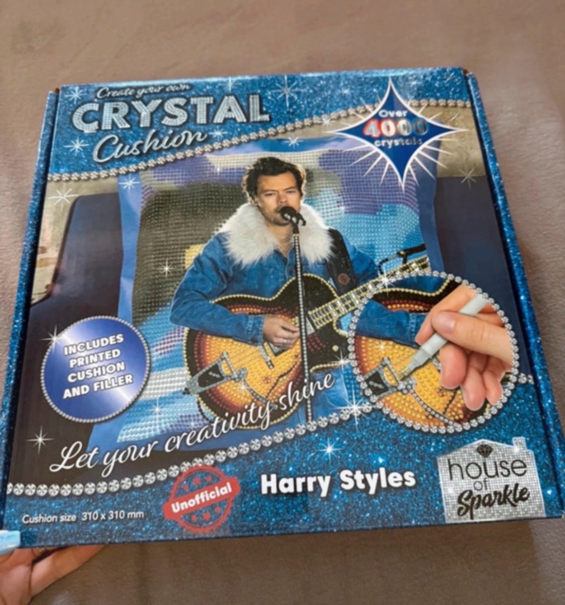 Harry style sequin cushion