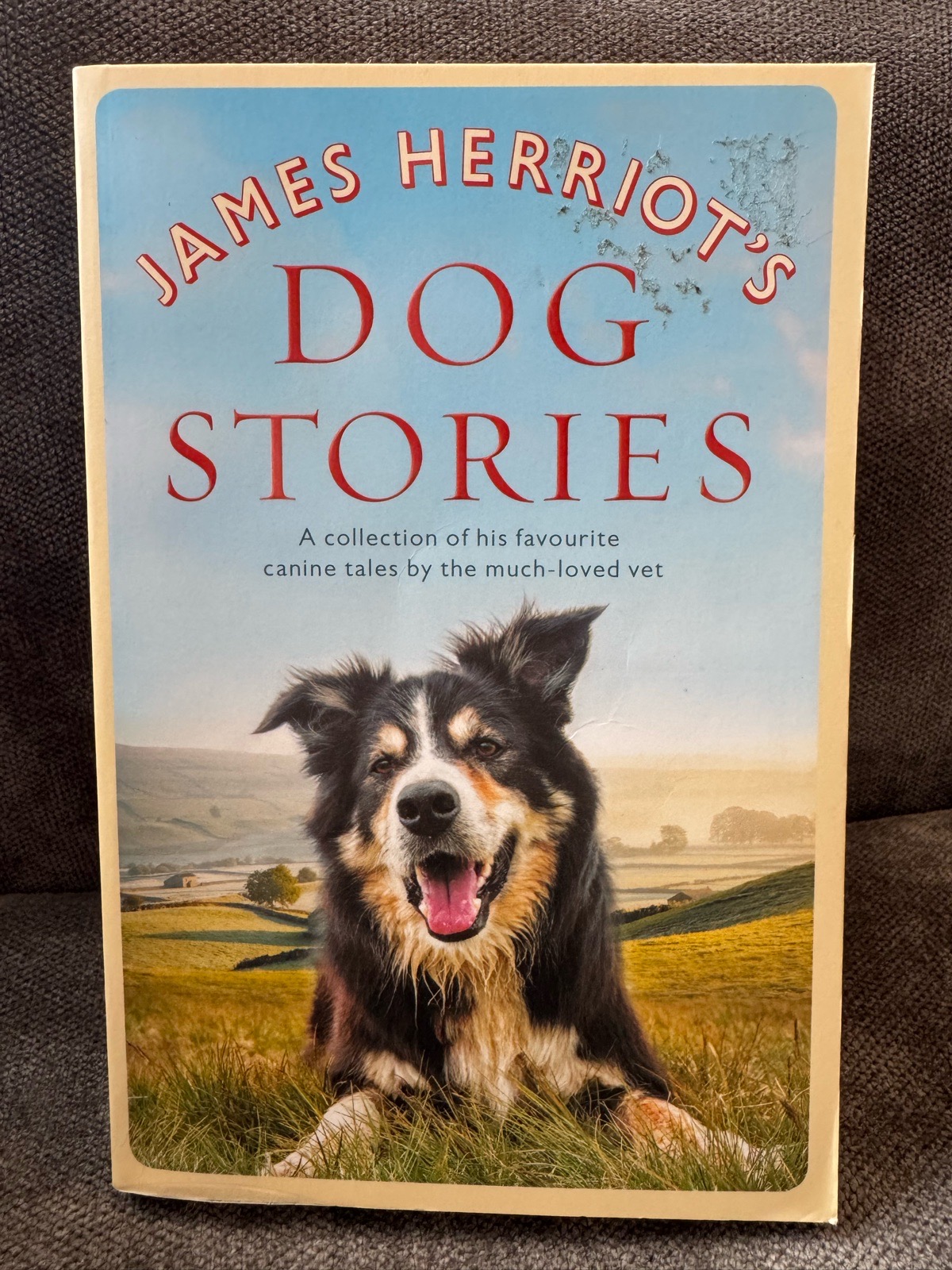Dog Stories By James Herriot Paperback Book