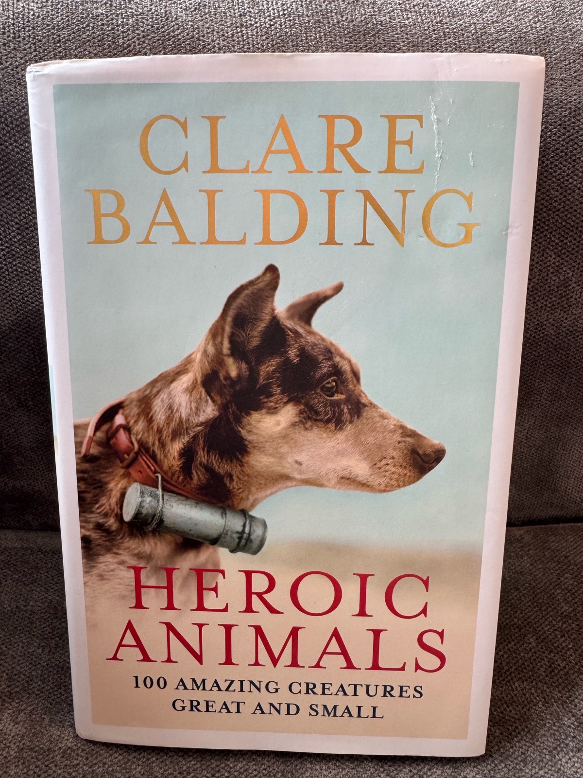 Heroic Animals Hardcover Book