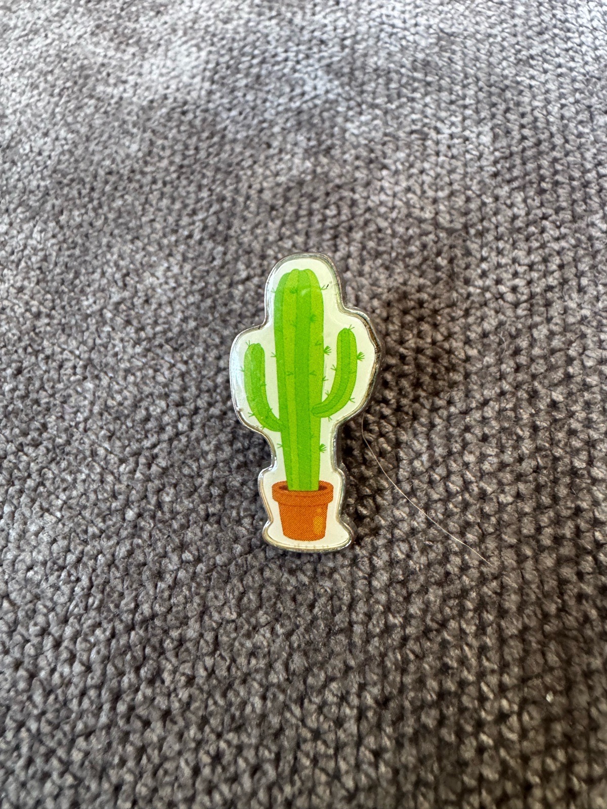 Cactus Enamel Pin Badge