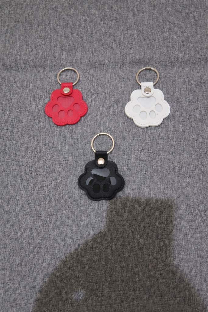 Pet keep sake keyring