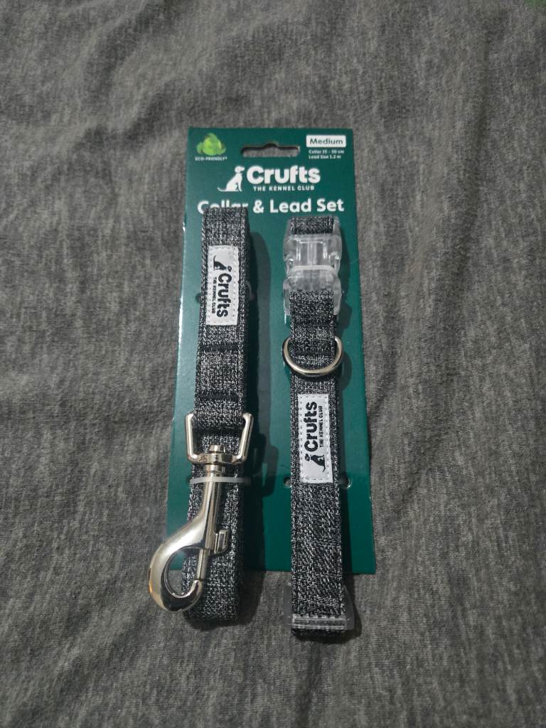 Medium collar & lead