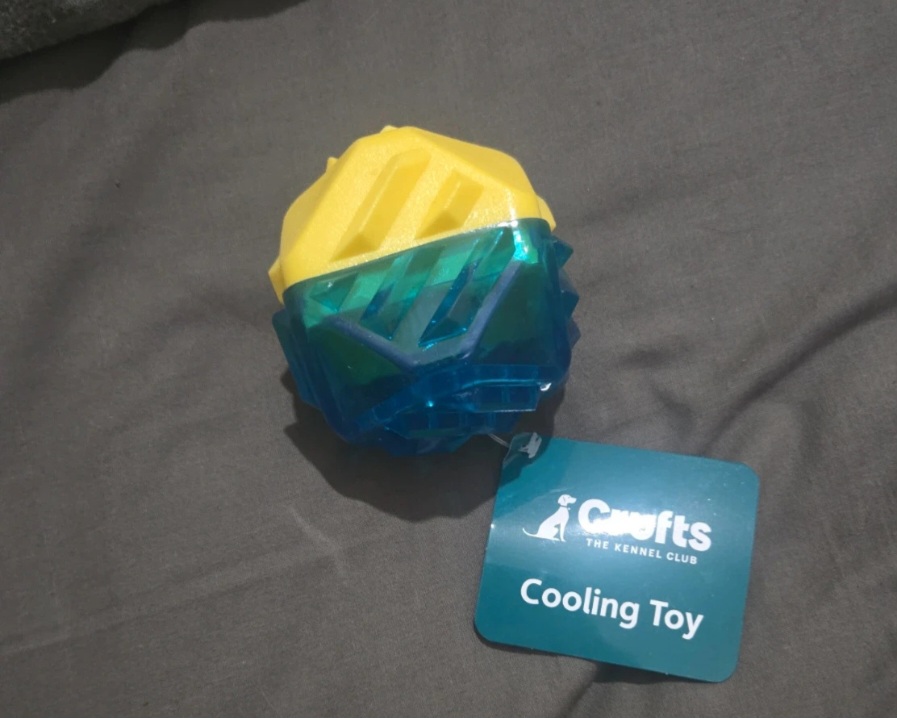 pet cooling toy
