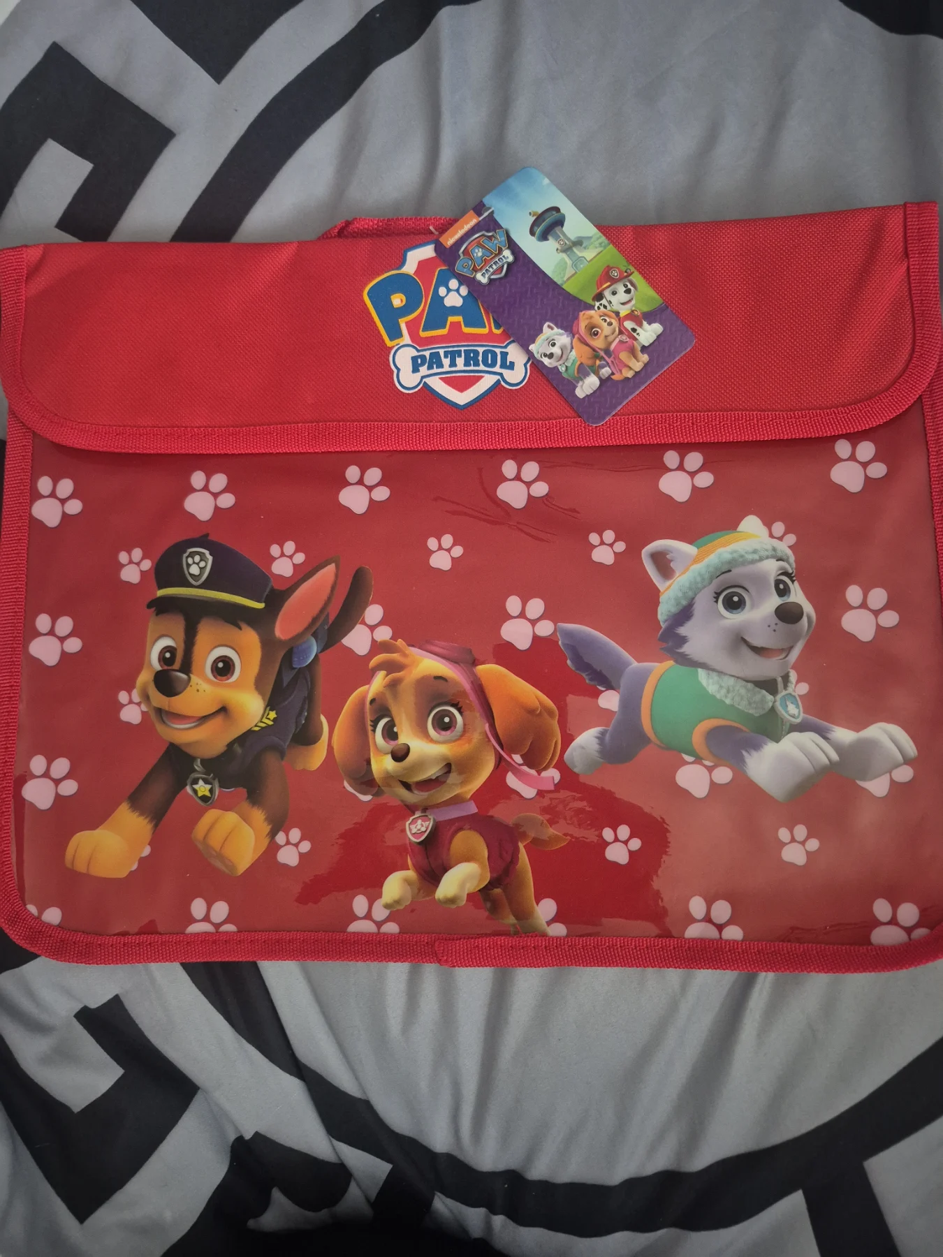 Paw Patrol Book Bag