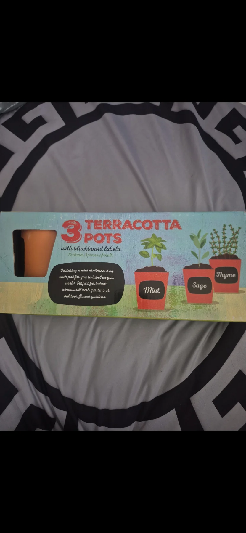Terracotta Pots