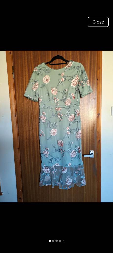 Phase eight alissa embroidered multicoloured floral peppermint green dress size 12