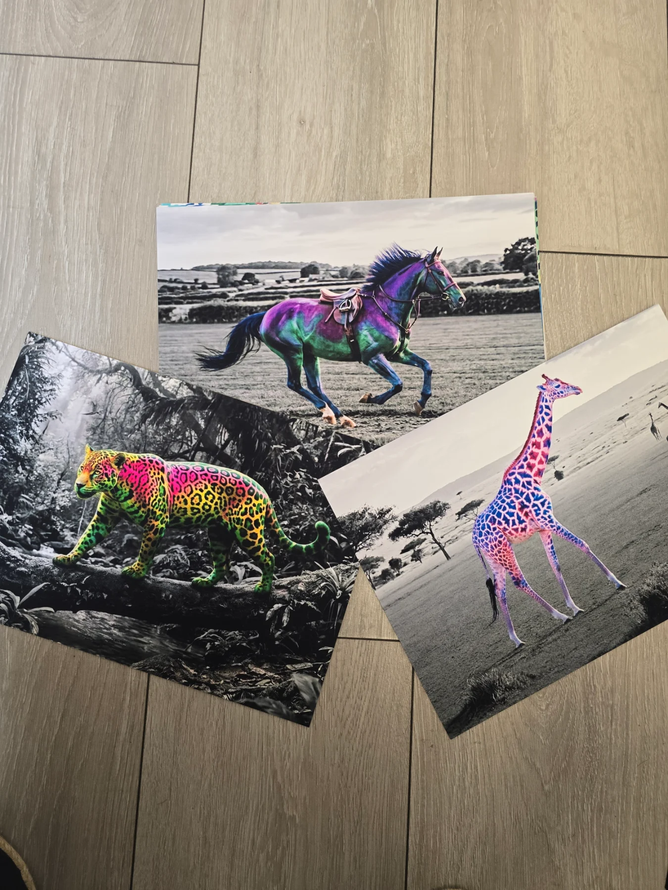 ​Neon Wild: Splash of Colour Animal Art Prints (A4)