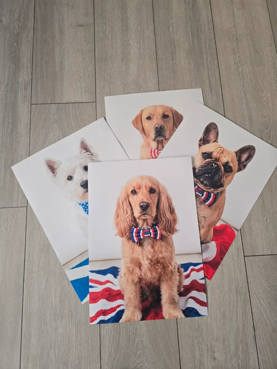 Dapper Dogs International Art Prints – High-Quality Fine Art Posters