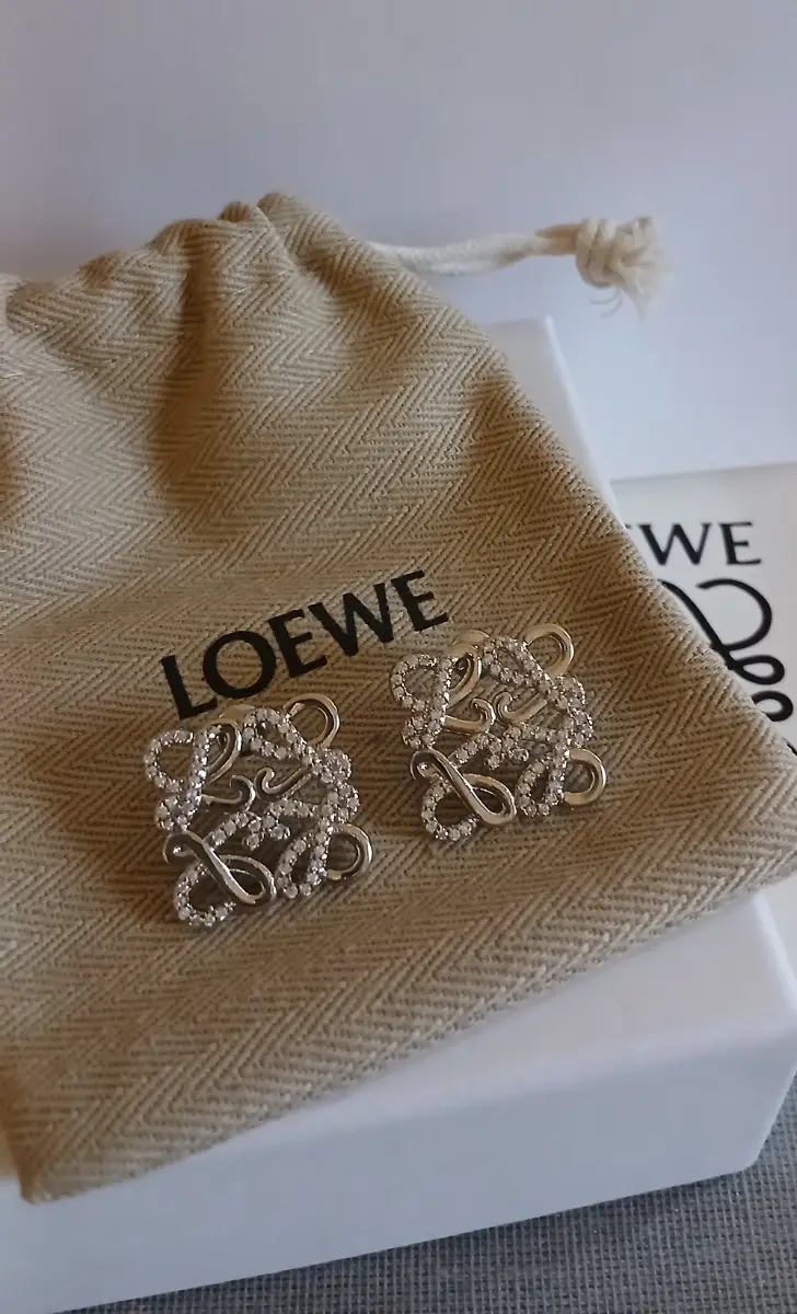 Lovely stylish earrings