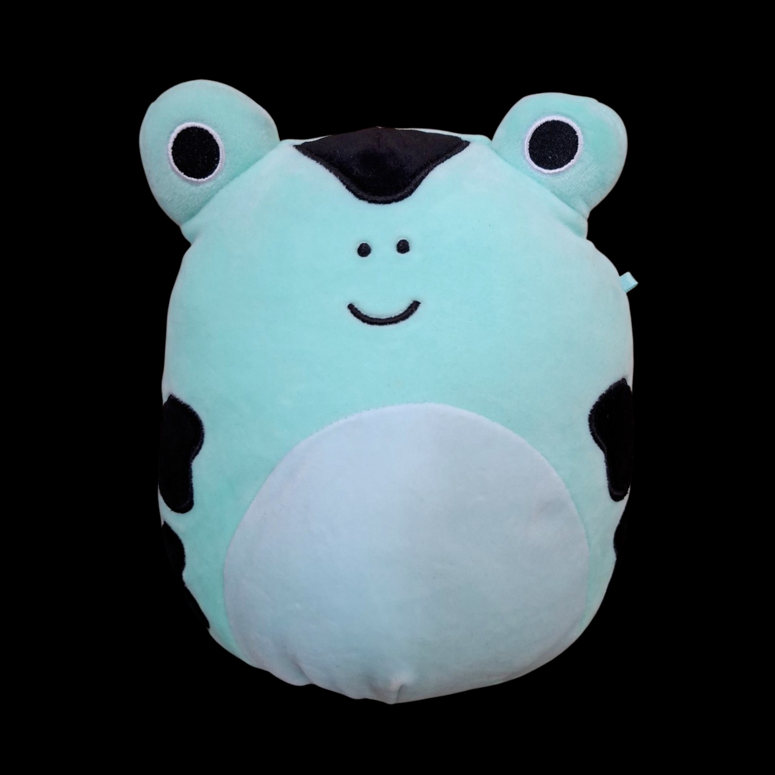 8" Collectable Green, Black & White Dear Frog Original Squishmallows Soft Toy