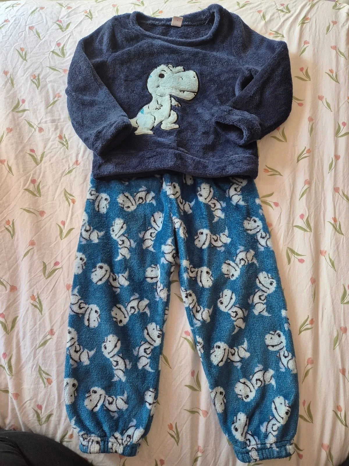 Boys fluffy dinosaur pjs size 4 years