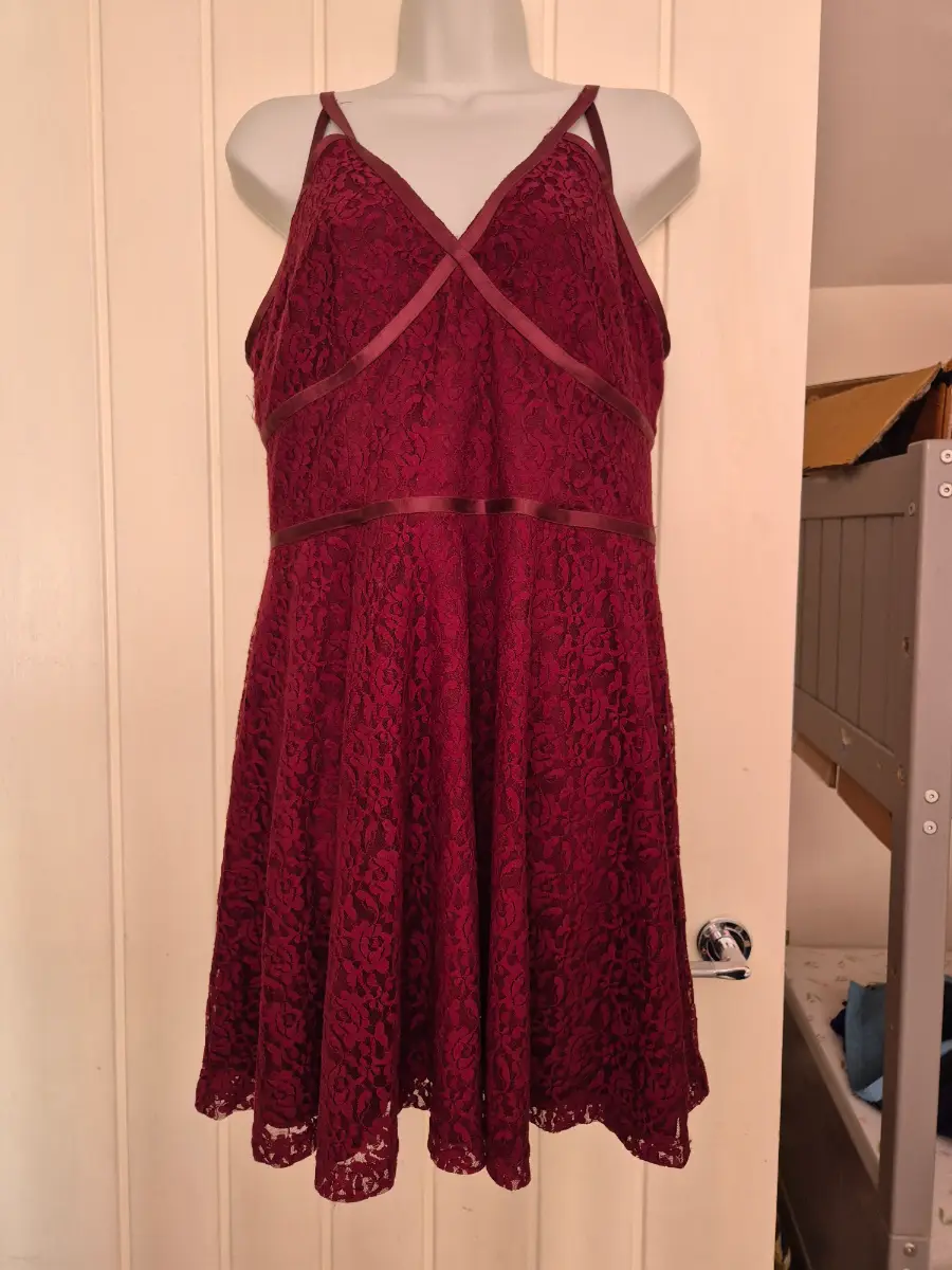Womens sleeveless lace dress size 16 nwt