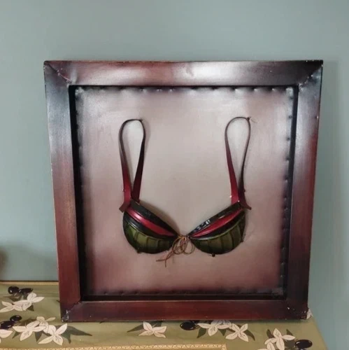Original Gothic Avant-Garde 3D Mixed Media Bra Framed Wall Art Industrial Gothic Unique