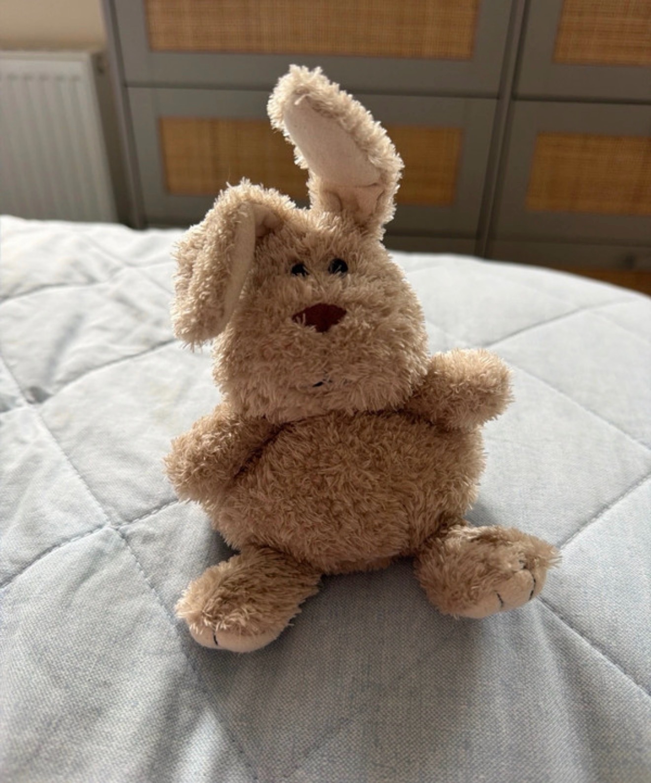 Retired retired pudding bunny jellycat