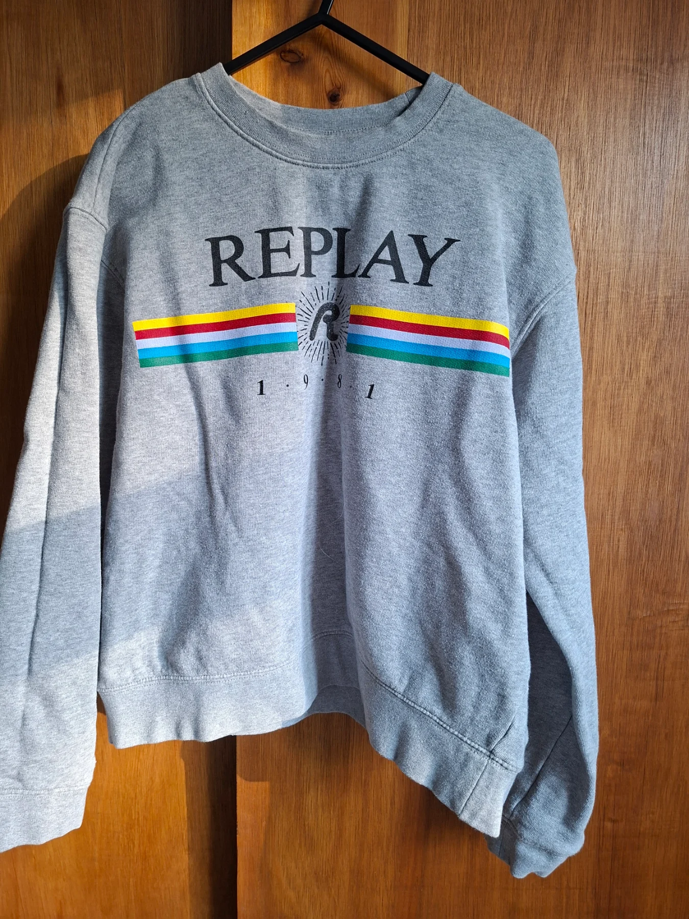 REPLAY 1981 Grey Rainbow Graphic Sweatshirt - Fits Medium (Tag L)