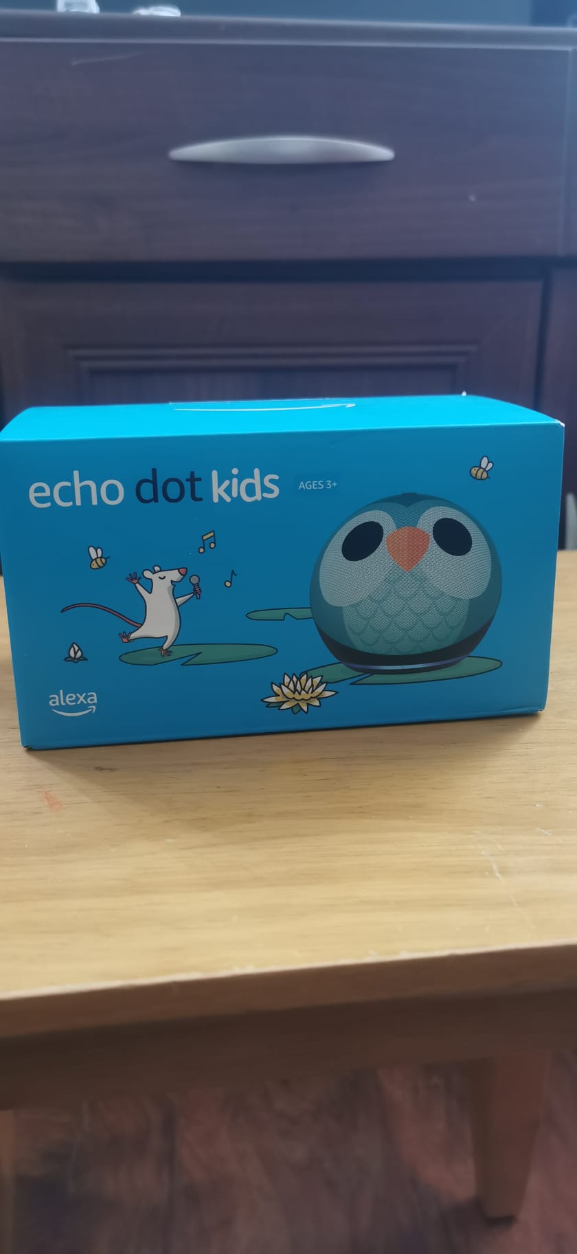 Echo Dot Kids (newest gen)