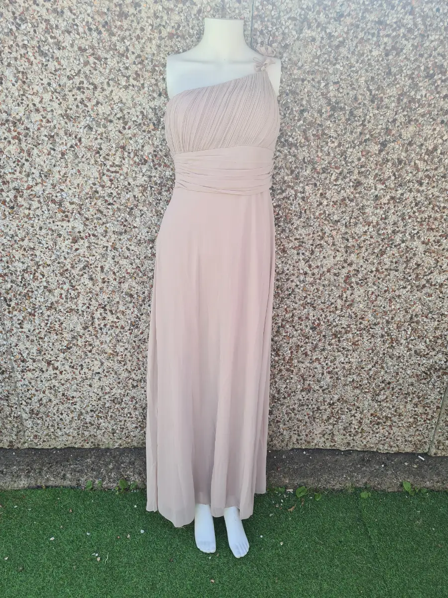 Ever Pretty One Shoulder Blush Chiffon Maxi Dress UK 8 BNWT RRP £54.99 Bridesmaid Wedding