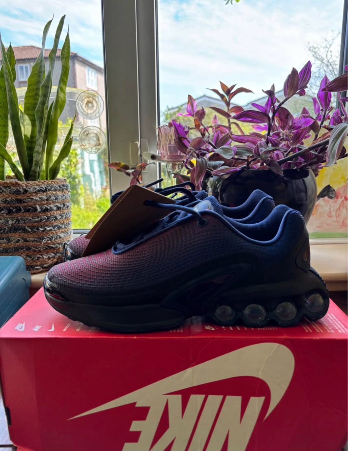 Nike Air Max DN Lof uk 5.5