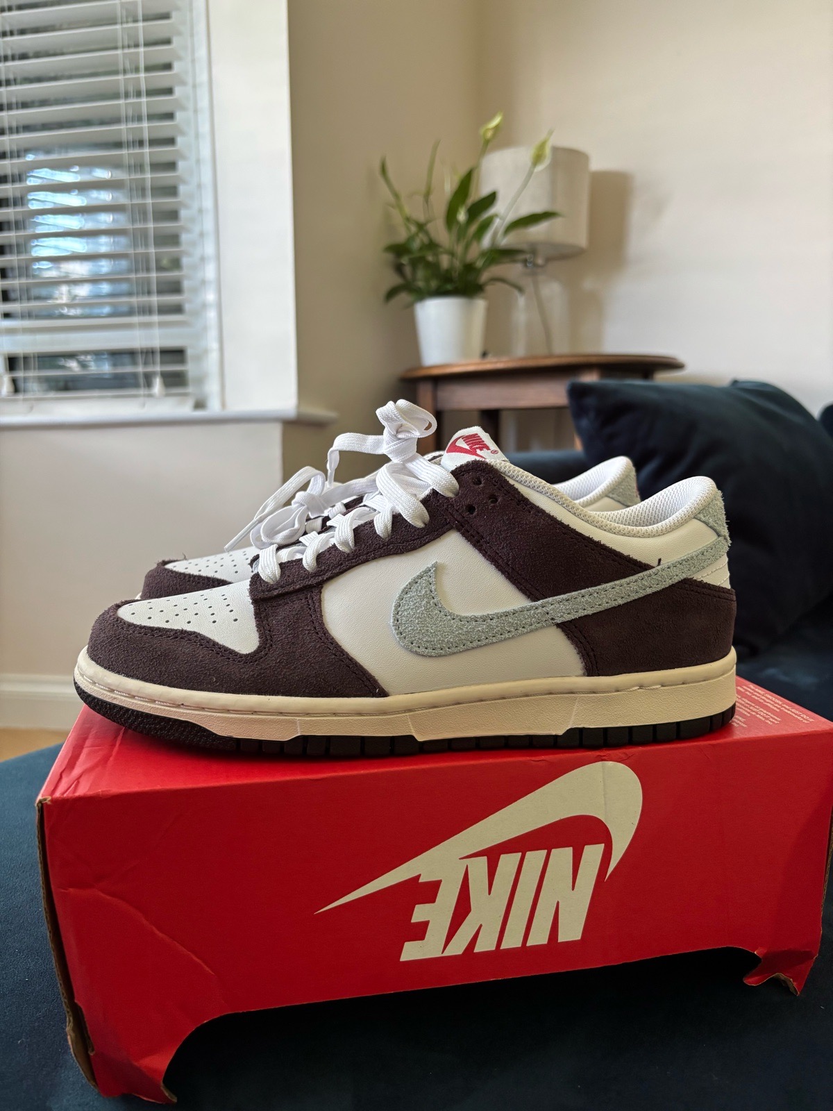 Nike Dunk Low