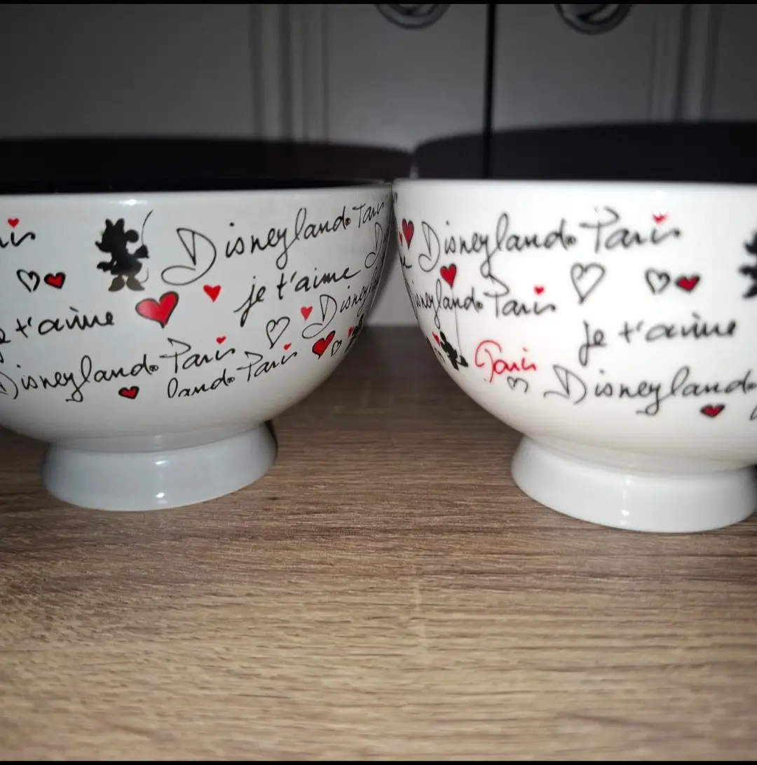 Disneyland Paris Mickey Minnie Mouse Small Bowl Set