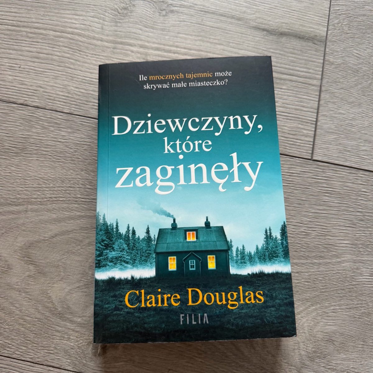 Dziewczyny które zaginęły polish book