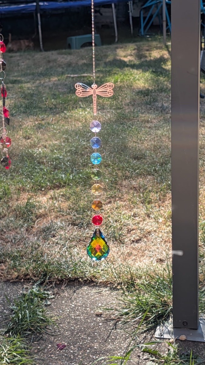 Dragon fly sun catcher