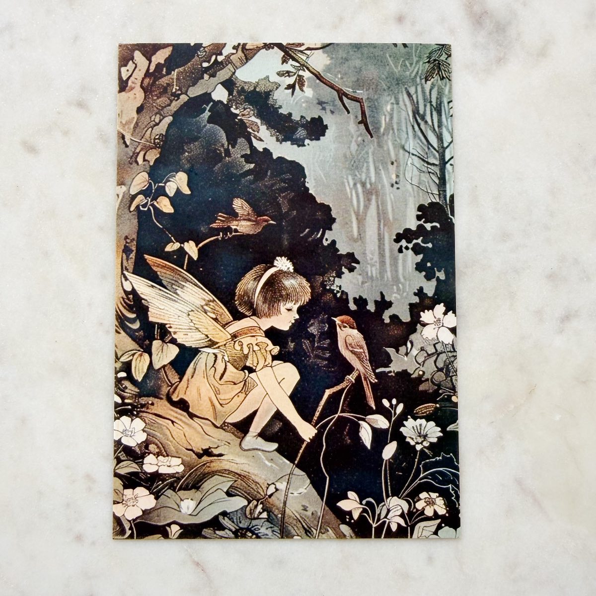 Vintage Style Fairy and Birds in Woods Postcard Art Print