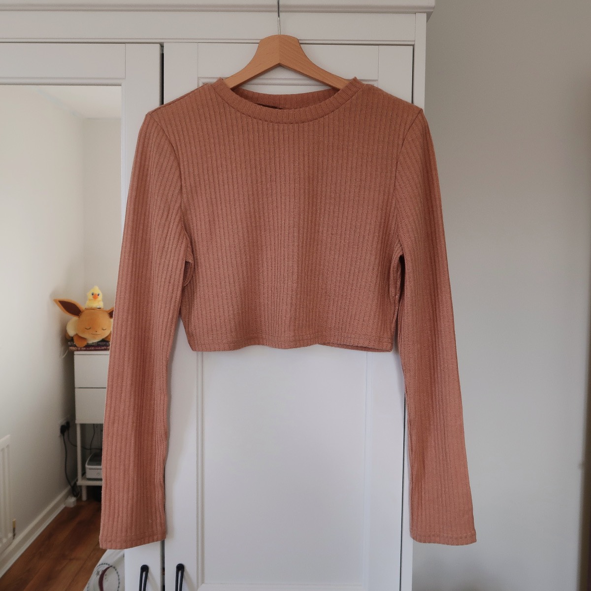 Shein Tan Cropped Long Sleeve Top
